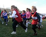 Click on thumbnail for larger photo